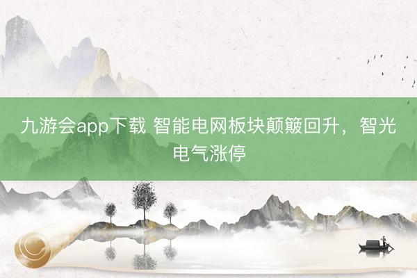 九游会app下载 智能电网板块颠簸回升，智光电气涨停