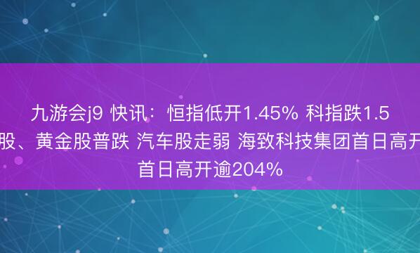九游会j9 快讯:恒指低开1.45% 科指跌1.59% 科网股、黄金股普跌 汽车股走弱 海致科技集团首日高开逾204%