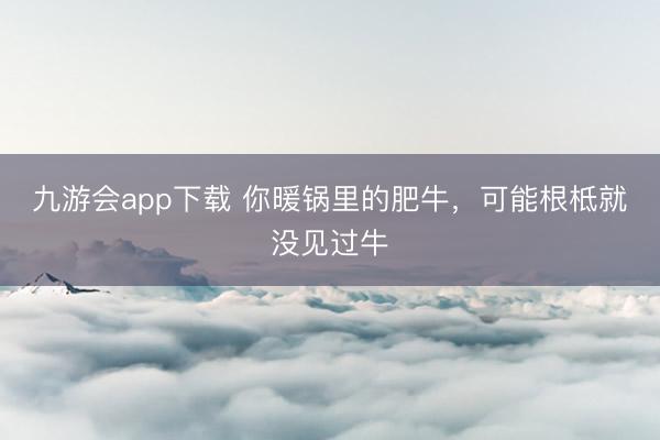 九游会app下载 你暖锅里的肥牛,可能根柢就没见过牛