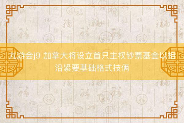 九游会j9 加拿大将设立首只主权钞票基金以相沿紧要基础格式技俩