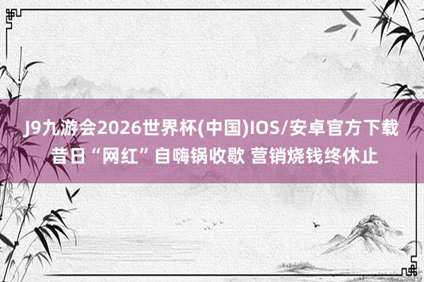 J9九游会2026世界杯(中国)IOS/安卓官方下载 昔日“网红”自嗨锅收歇 营销烧钱终休止