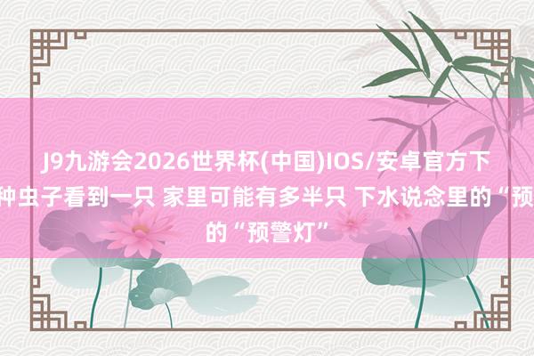 J9九游会2026世界杯(中国)IOS/安卓官方下载 这种虫子看到一只 家里可能有多半只 下水说念里的“预警灯”