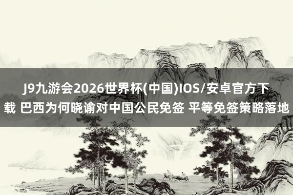 J9九游会2026世界杯(中国)IOS/安卓官方下载 巴西为何晓谕对中国公民免签 平等免签策略落地