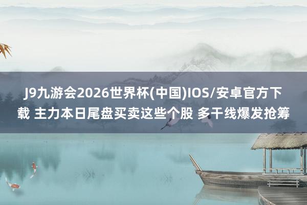 J9九游会2026世界杯(中国)IOS/安卓官方下载 主力本日尾盘买卖这些个股 多干线爆发抢筹