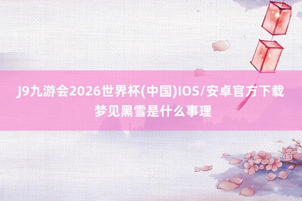 J9九游会2026世界杯(中国)IOS/安卓官方下载 梦见黑雪是什么事理