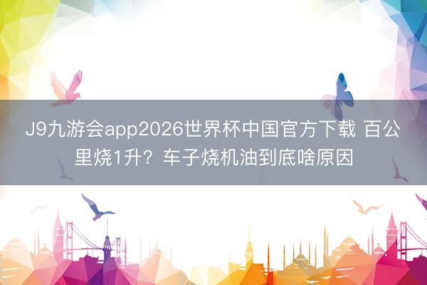 J9九游会app2026世界杯中国官方下载 百公里烧1升？车子烧机油到底啥原因