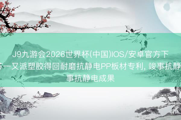 J9九游会2026世界杯(中国)IOS/安卓官方下载 江苏一又派塑胶得回耐磨抗静电PP板材专利， 竣事抗静电成果