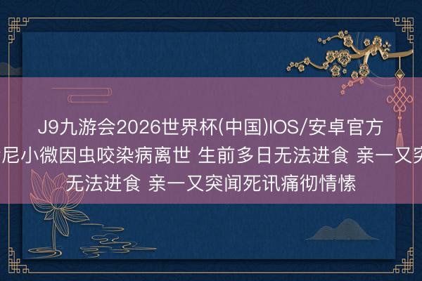 J9九游会2026世界杯(中国)IOS/安卓官方下载 39岁博主哈尼小微因虫咬染病离世 生前多日无法进食 亲一又突闻死讯痛彻情愫