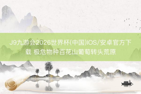 J9九游会2026世界杯(中国)IOS/安卓官方下载 极危物种百花山葡萄转头荒原